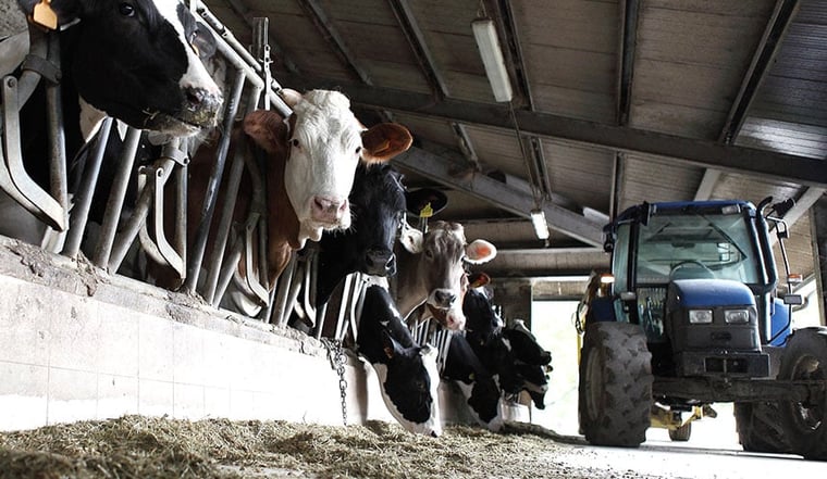 Landwirtschaftlicher Mischbetrieb